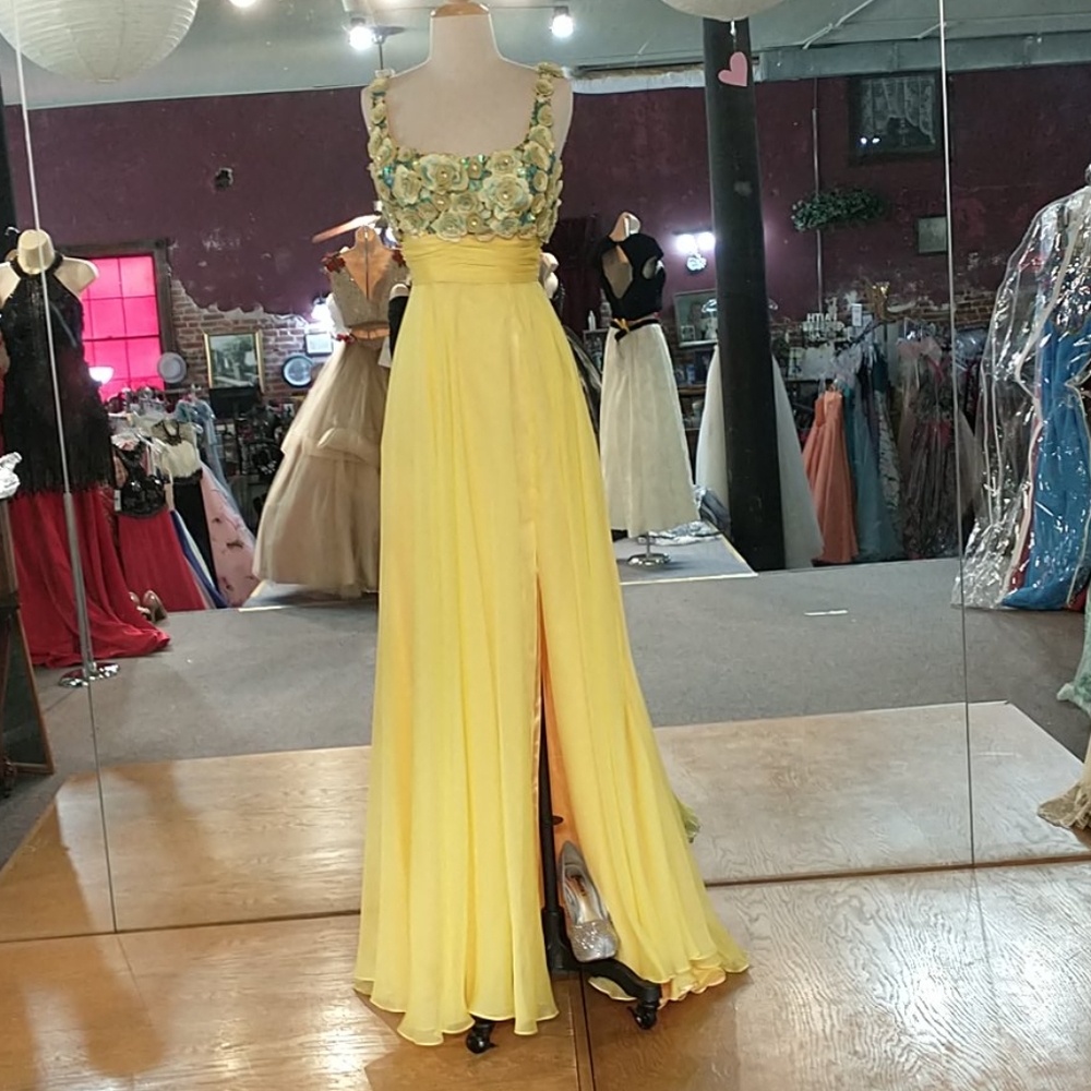 Precious Formals Floral Applique Bodice Dress